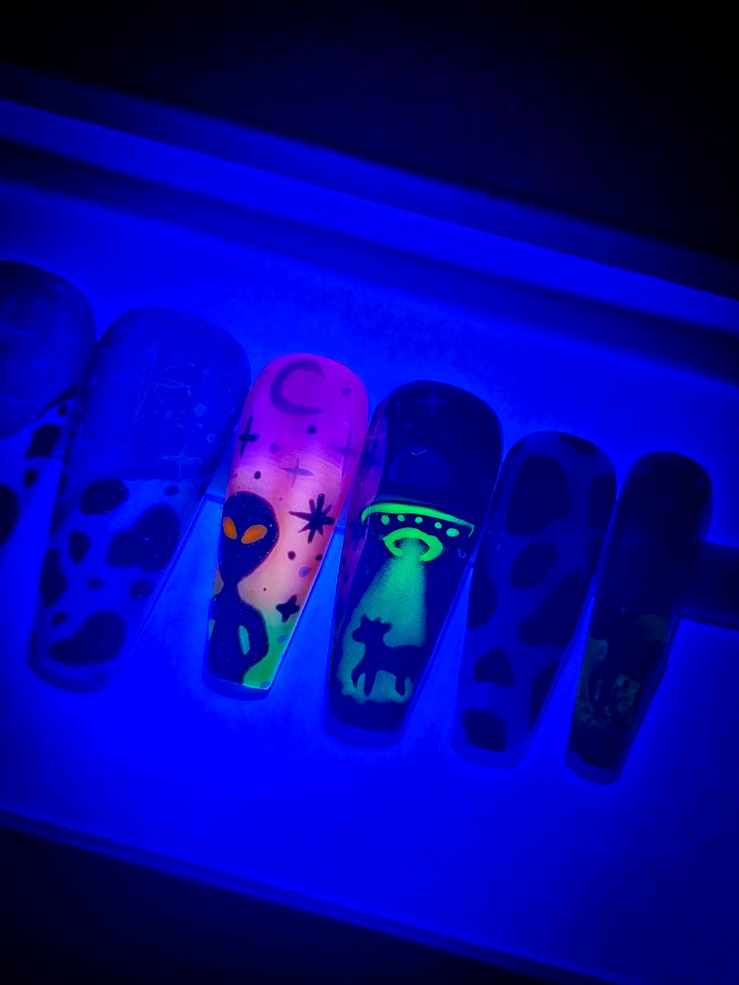 Cosmic Cattle (Glow  in the Dark) Press on Nail Set