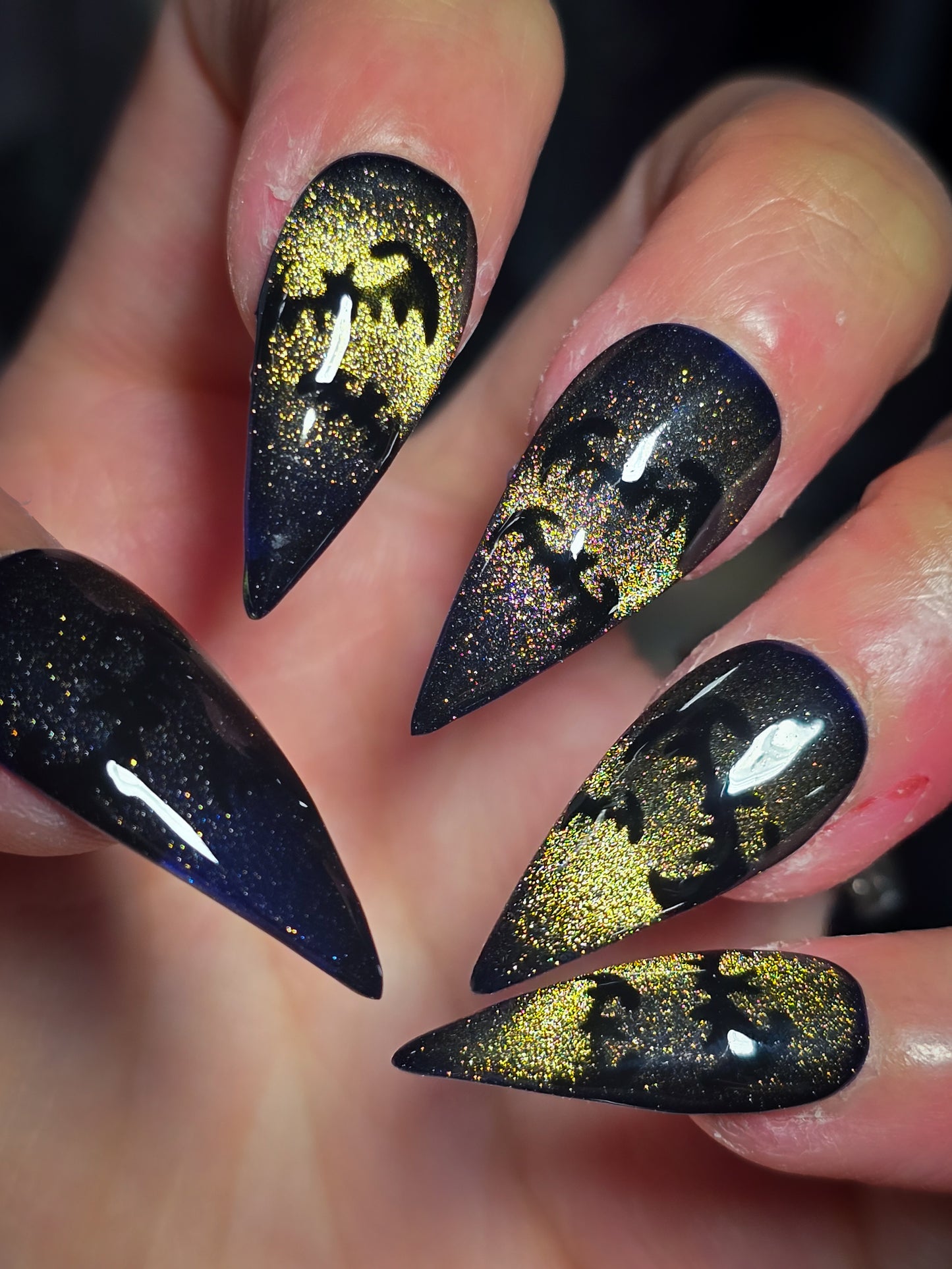 Night Flight Press on Nail Set