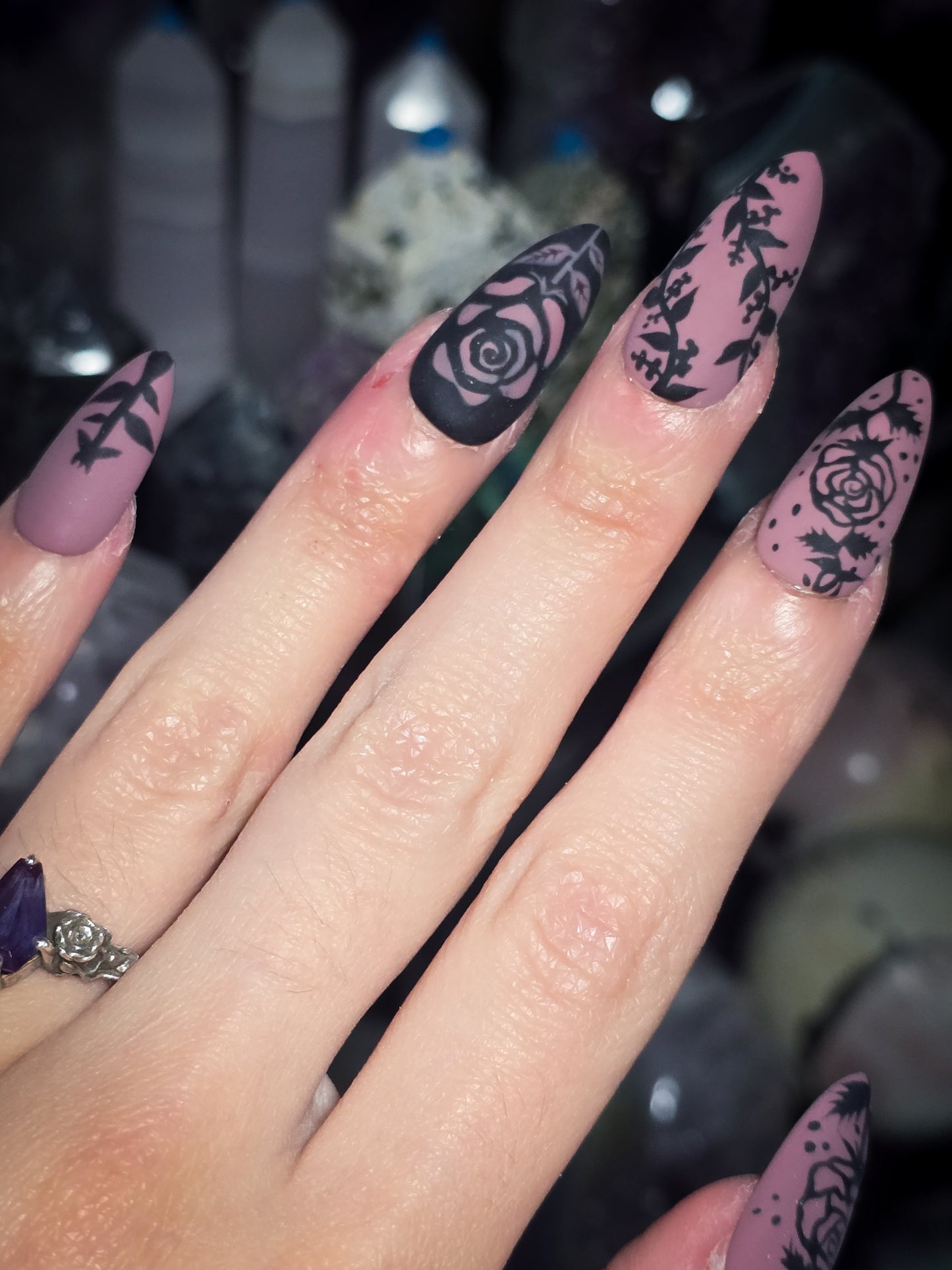 Roses in Ruin Press on Nail Set